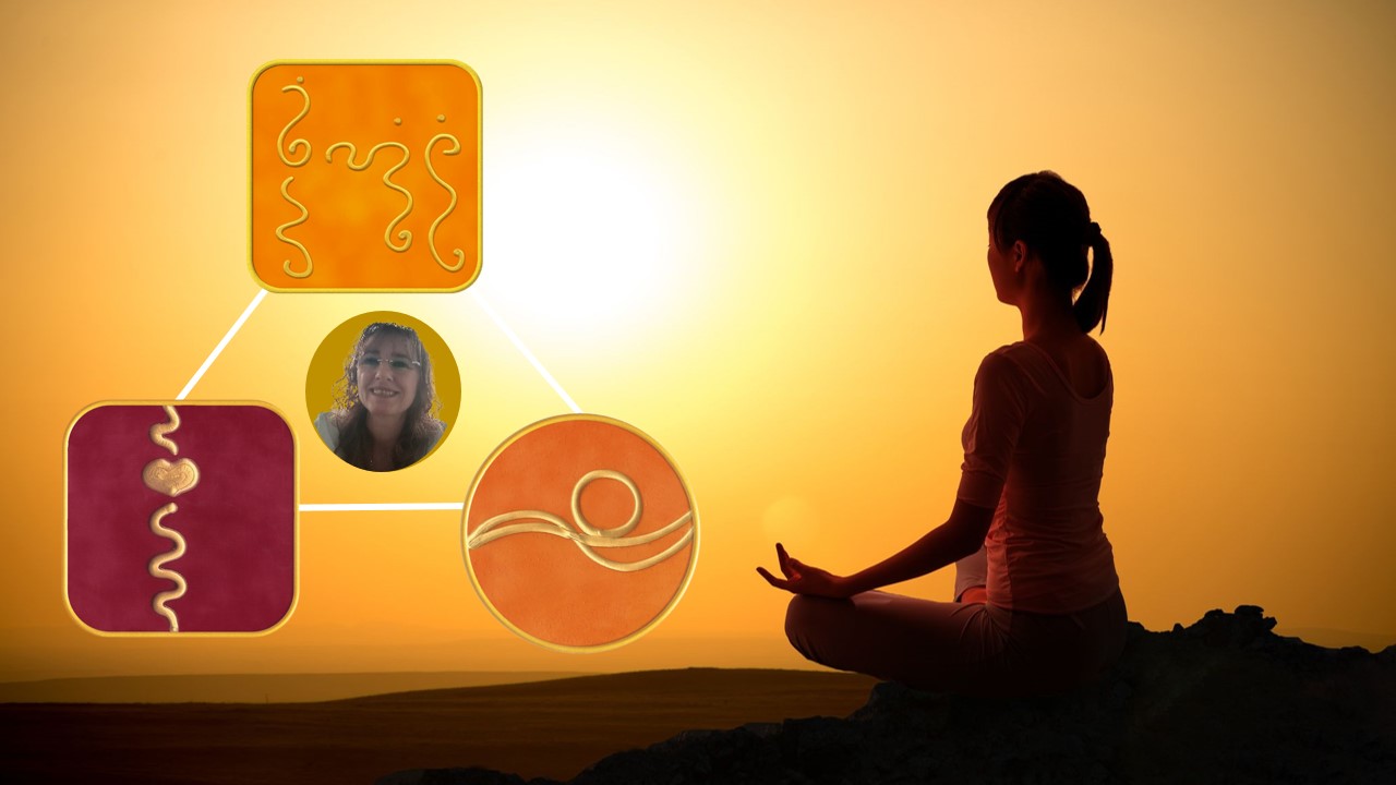 Triângulos de Transformação P 2 